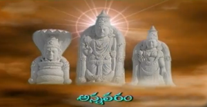 Information about story on the popular Lord Veera Venkata Sri Satyanarayana Swamy Grand   Kalyanam Today (21-05-2013)
